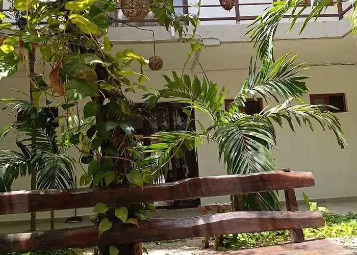 Hotel Centrico Tulum